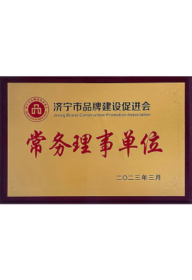 Membro del Consiglio permanente dell'Associazione per la promozione dello sviluppo del marchio Jining
